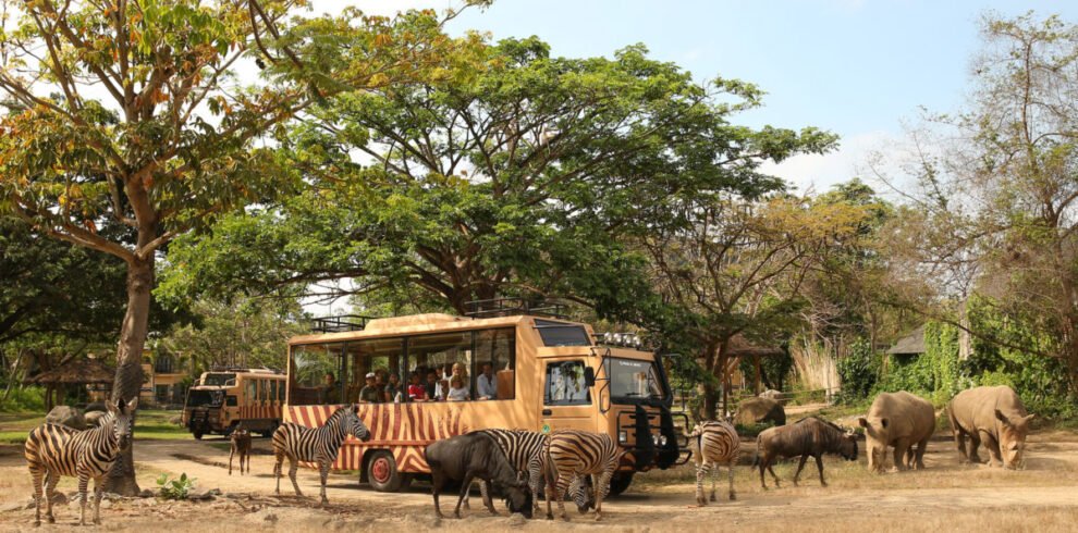 Safari-Journey1-scaled-1200×675-cropped
