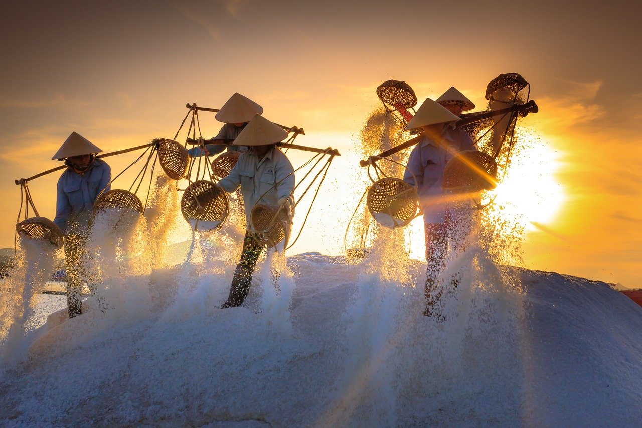 salt, field, province-3344508.jpg